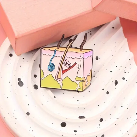 Broszka Budowa skóry