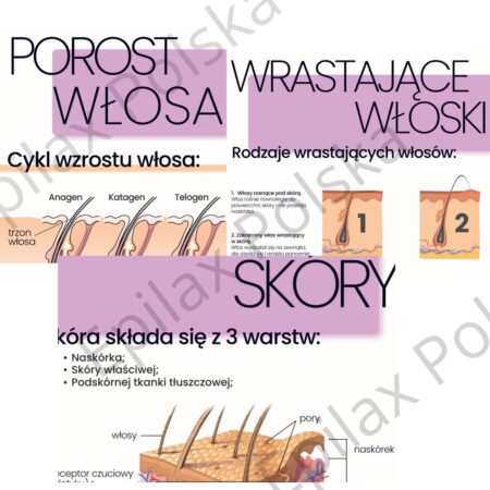 Plakat – wersja elektroniczna (zestaw 3 szt.)